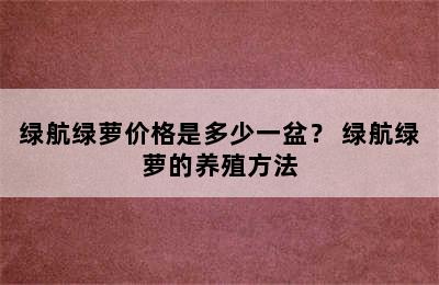 绿航绿萝价格是多少一盆？ 绿航绿萝的养殖方法